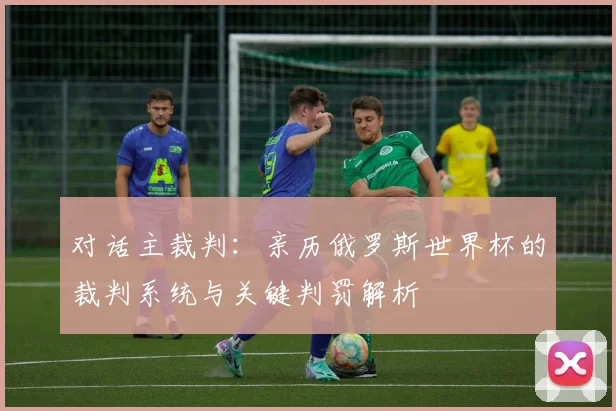 对话主裁判：亲历俄罗斯世界杯的裁判系统与关键判罚解析