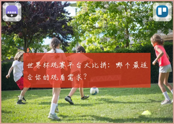 世界杯观赛平台大比拼：哪个最适合你的观看需求？