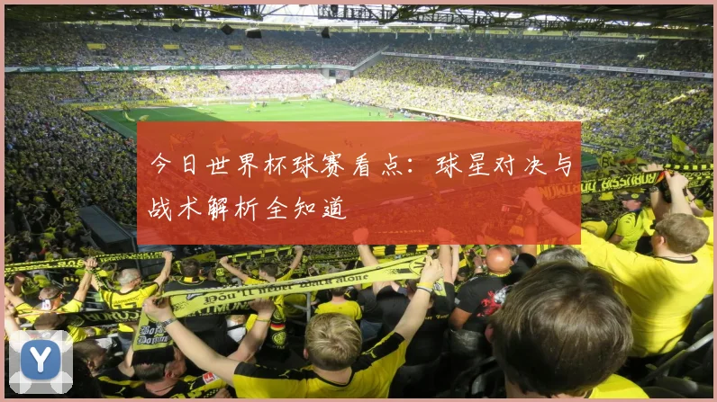 今日世界杯球赛看点：球星对决与战术解析全知道