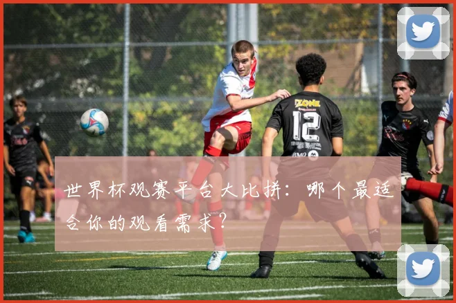 世界杯观赛平台大比拼：哪个最适合你的观看需求？