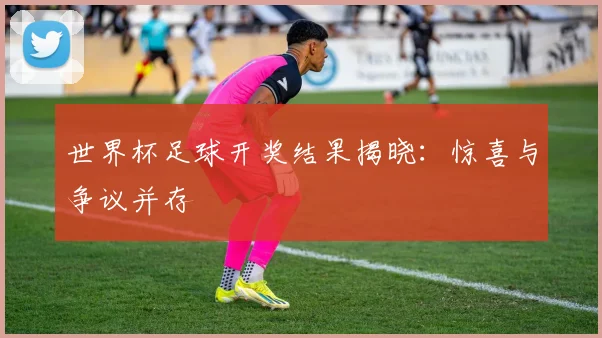 世界杯足球开奖结果揭晓：惊喜与争议并存