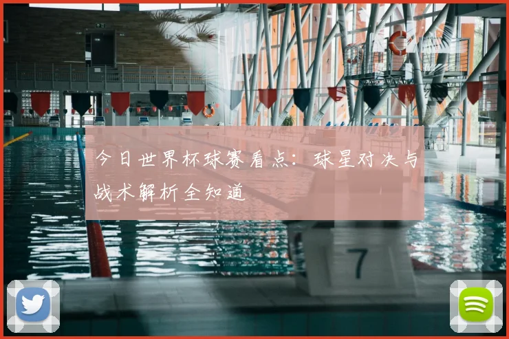 今日世界杯球赛看点：球星对决与战术解析全知道