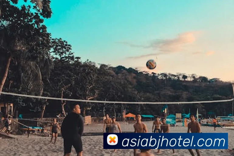 爱体育官网app下载平台生态图